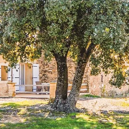 Fantastiskt Hus Med 3 Sovrum I Venéjan *